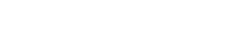 logo intraverse x polygon